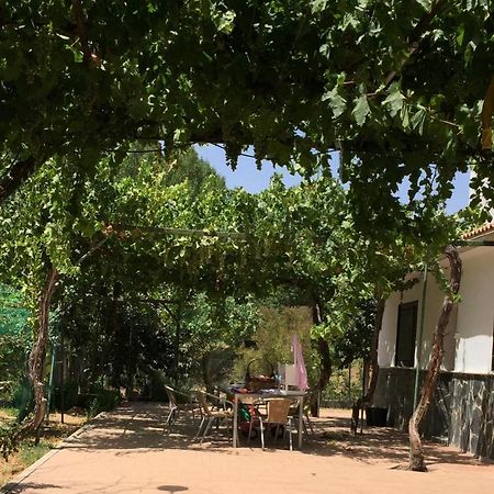 Vila Casa De Ines Alhama de Granada Exteriér fotografie
